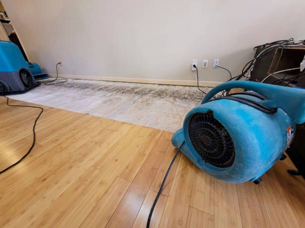 Professional Burst Pipe Water Damage technician working in Springfield, VA